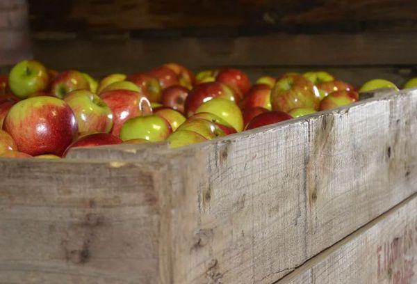 Деревянный ящик с яблоками